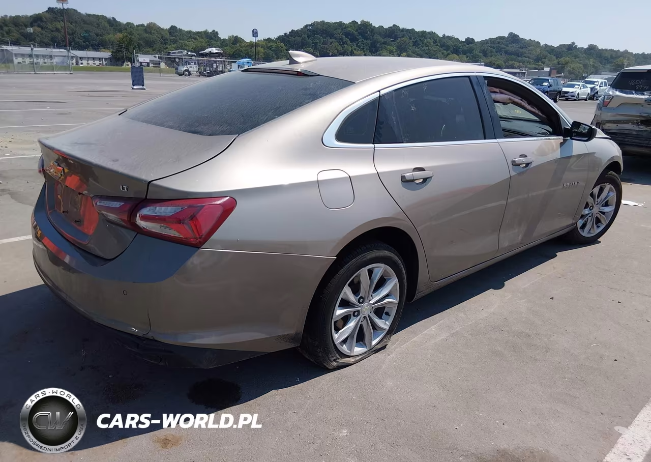 2022 Chevrolet Malibu Fwd Lt VIN:1G1ZD5ST0NF113833 - 4