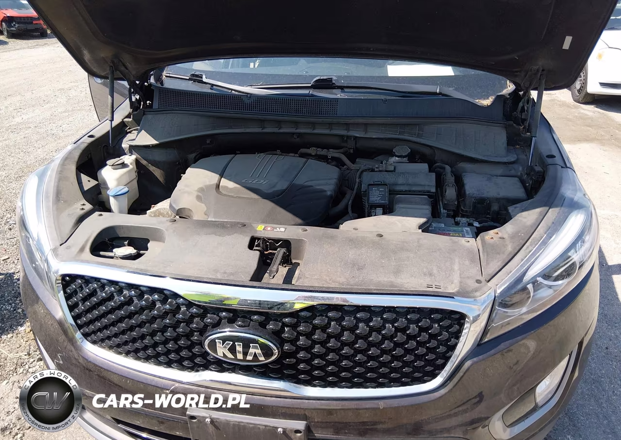 2018 Kia Sorento 3.3L Ex VIN:5XYPH4A5XJG367847 - 10
