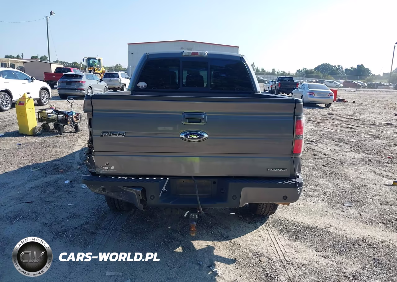 2012 Ford F-150 Fx4 VIN:1FTFW1EF7CKD03264 - 17