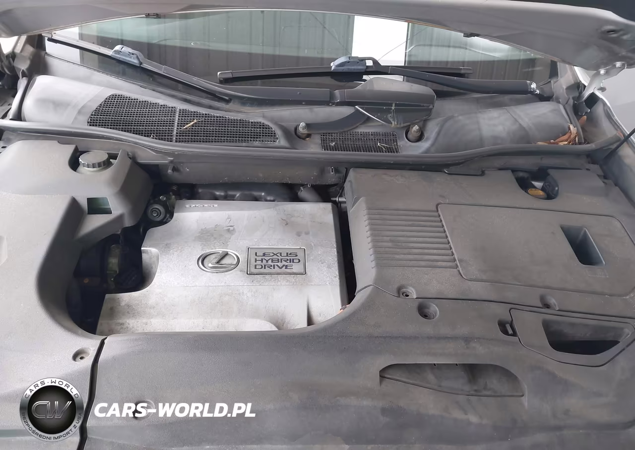 2010 Lexus Rx 450H VIN:JTJBC1BA8A2028630 - 10