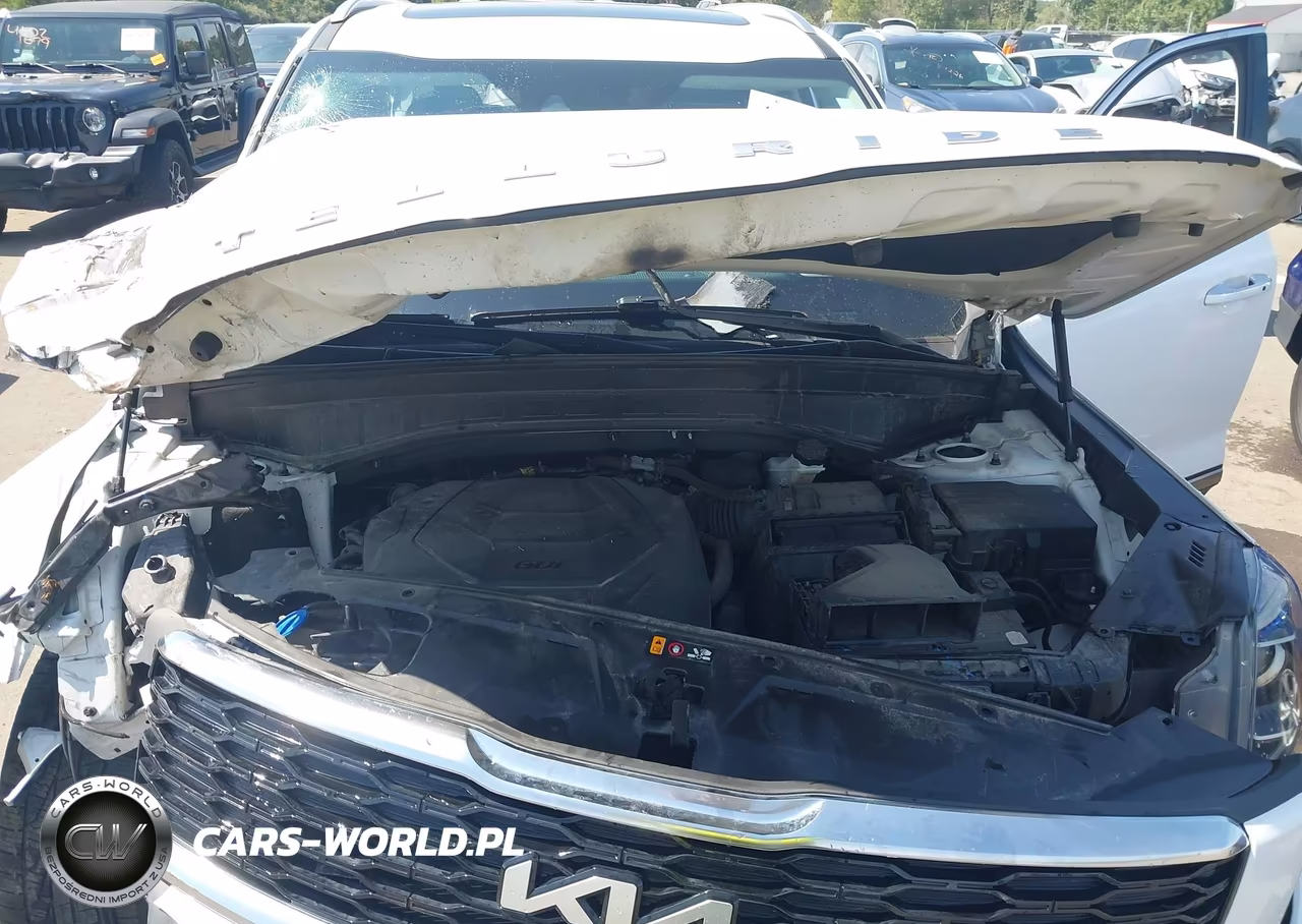 2022 Kia Telluride S VIN:5XYP6DHC1NG316365 - 10