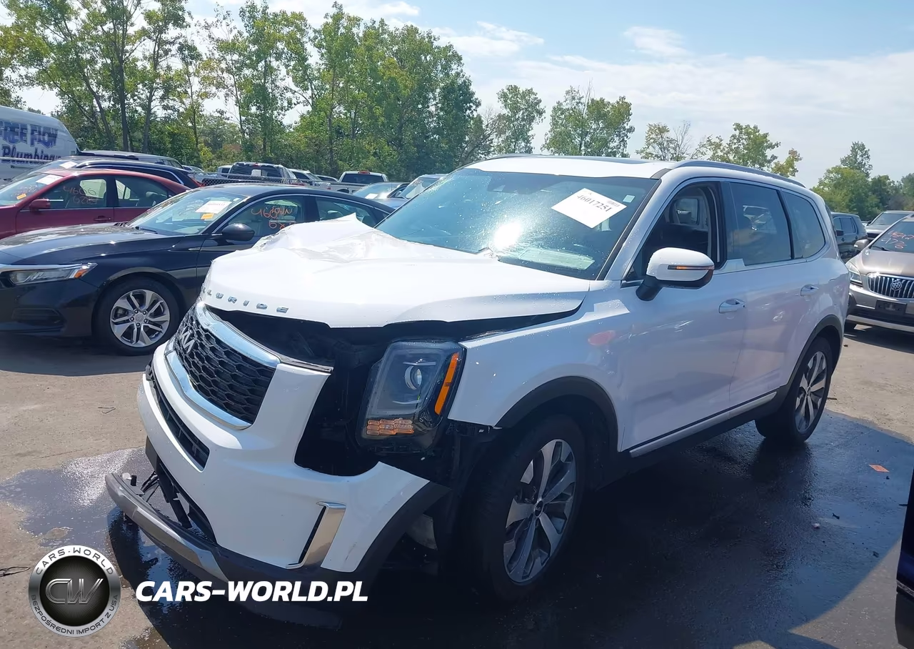 2022 Kia Telluride S VIN:5XYP6DHC1NG316365 - 2