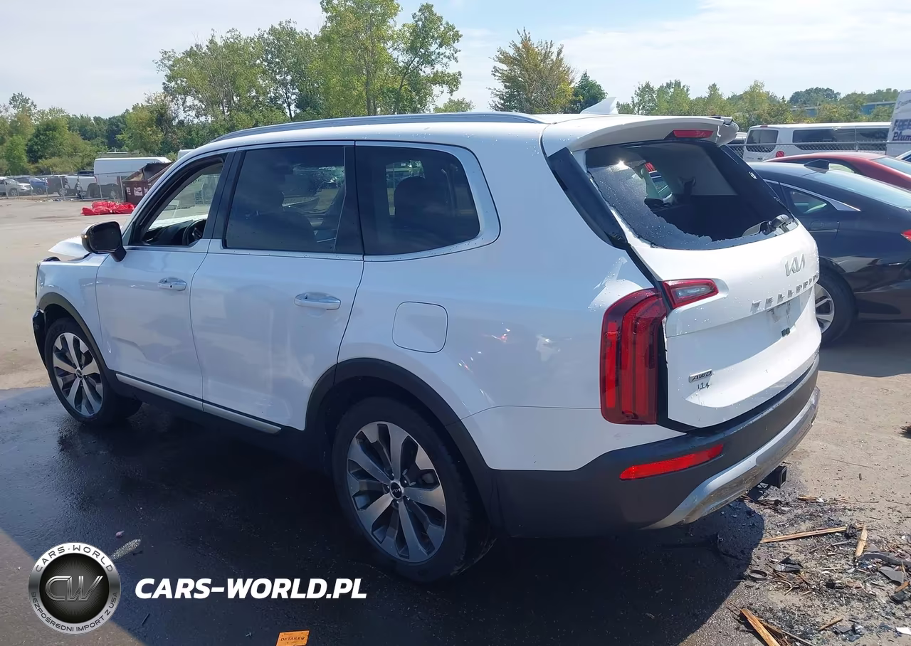 2022 Kia Telluride S VIN:5XYP6DHC1NG316365 - 3