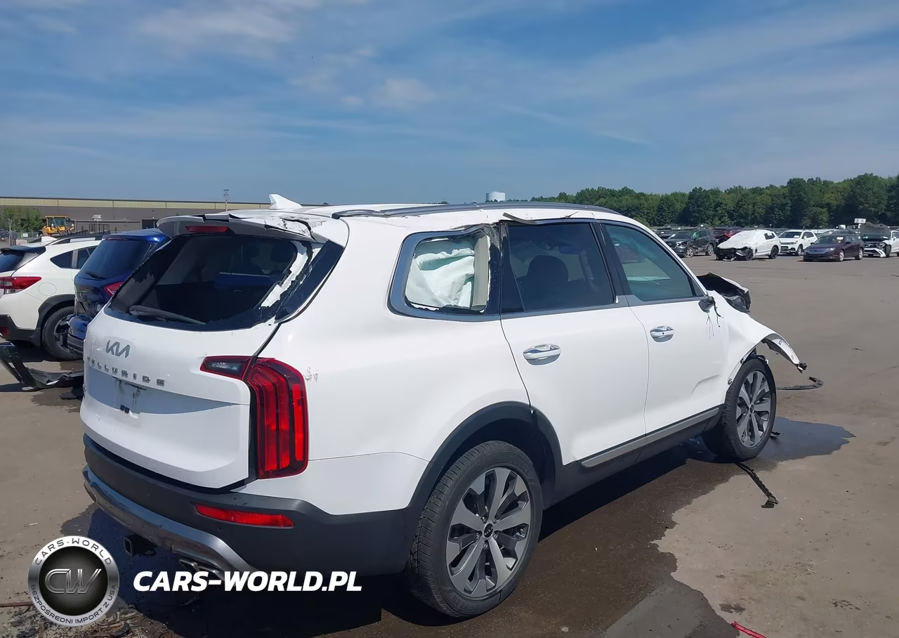 2022 Kia Telluride S VIN:5XYP6DHC1NG316365 - 4