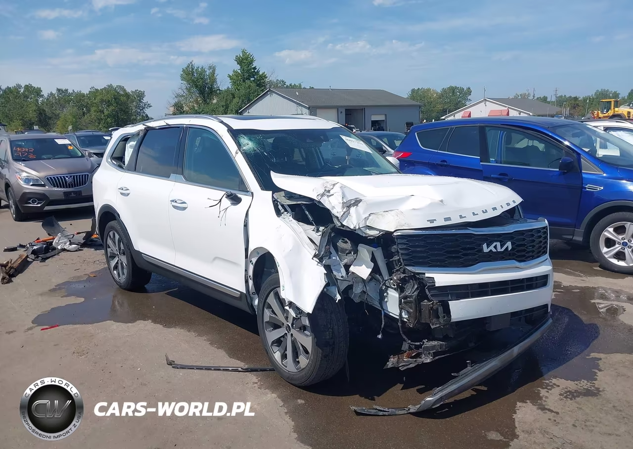 2022 Kia Telluride S VIN:5XYP6DHC1NG316365 - 6