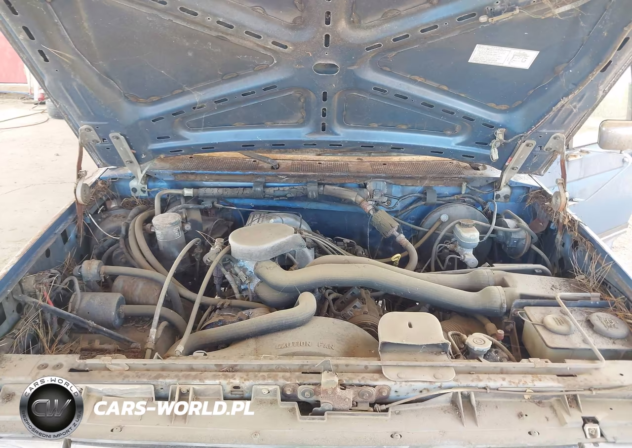 1990 Ford F150 VIN:1FTEX15NXLKB57703 - 10