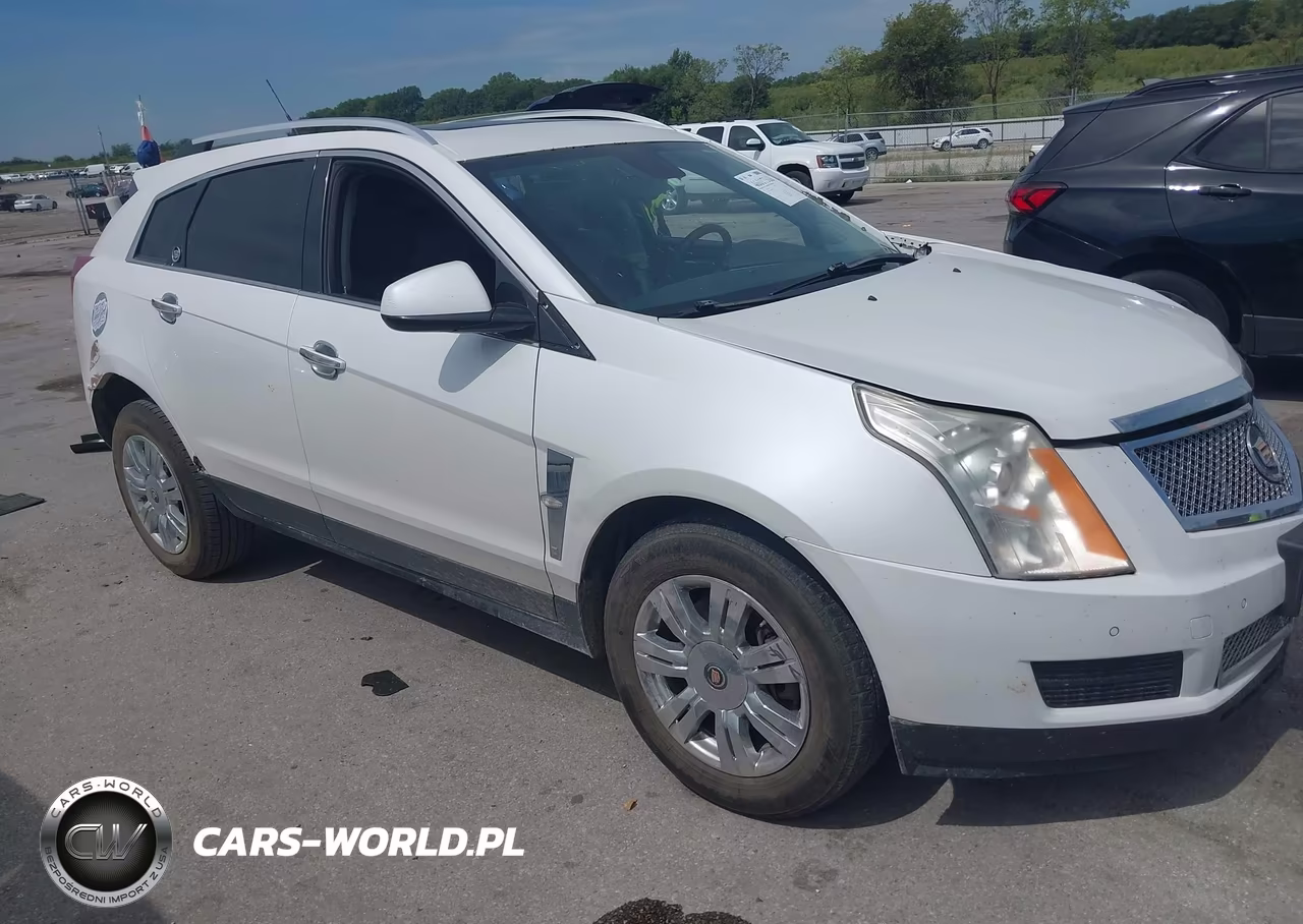 2010 Cadillac Srx Luxury Collection VIN:3GYFNAEY0AS600196 - 1