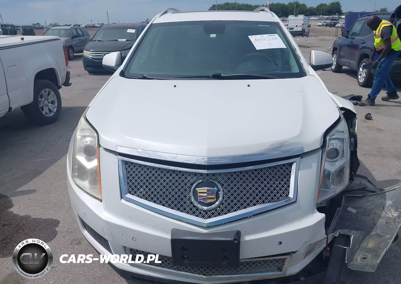 2010 Cadillac Srx Luxury Collection VIN:3GYFNAEY0AS600196 - 12