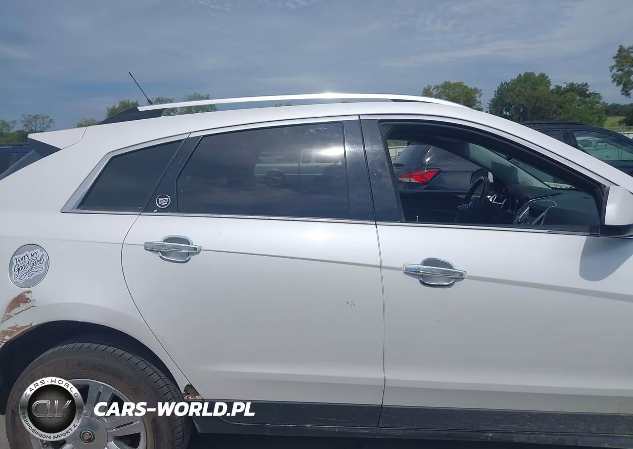 2010 Cadillac Srx Luxury Collection VIN:3GYFNAEY0AS600196 - 13