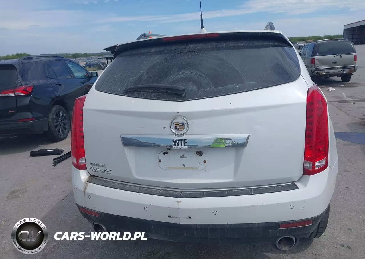 2010 Cadillac Srx Luxury Collection VIN:3GYFNAEY0AS600196 - 16