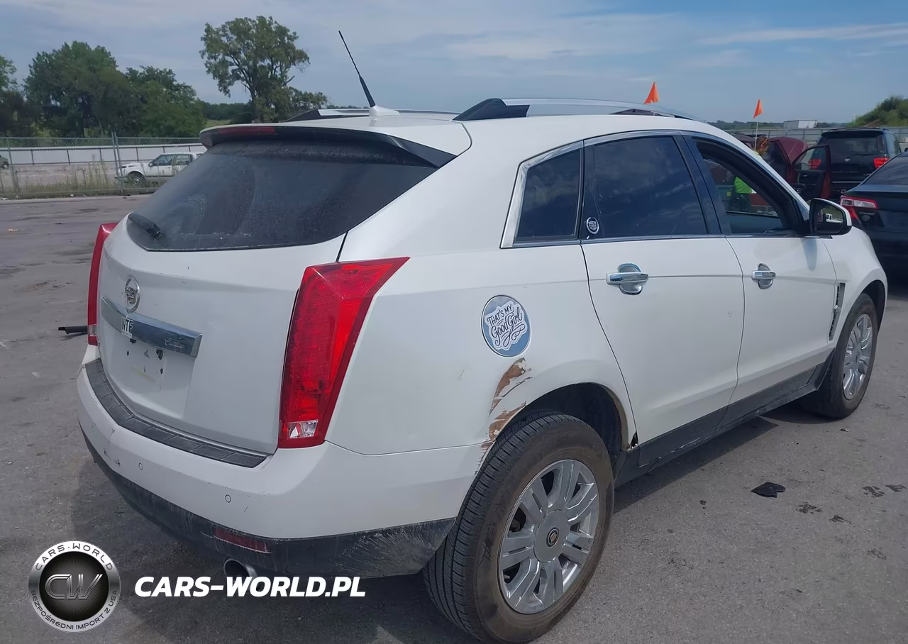2010 Cadillac Srx Luxury Collection VIN:3GYFNAEY0AS600196 - 4