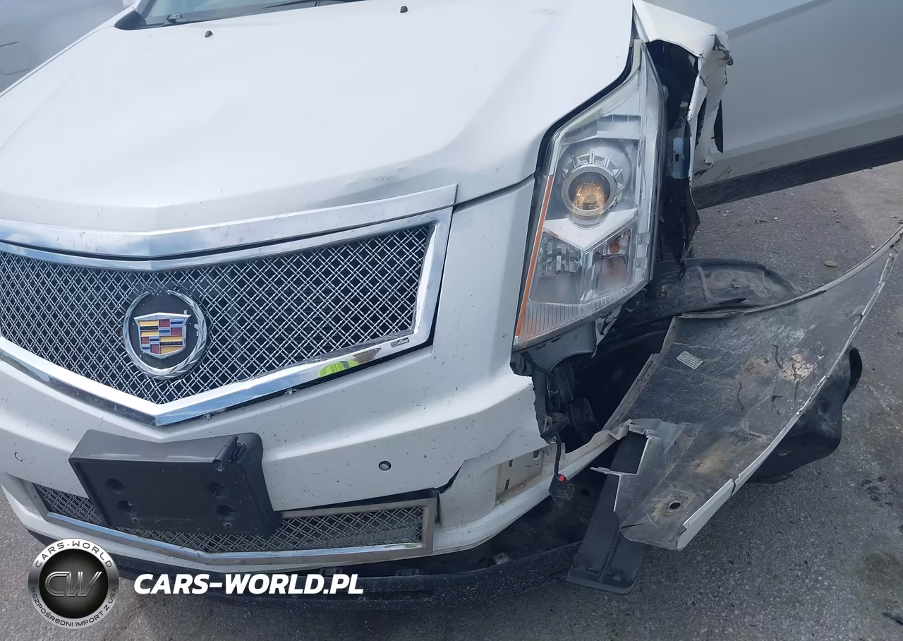 2010 Cadillac Srx Luxury Collection VIN:3GYFNAEY0AS600196 - 6