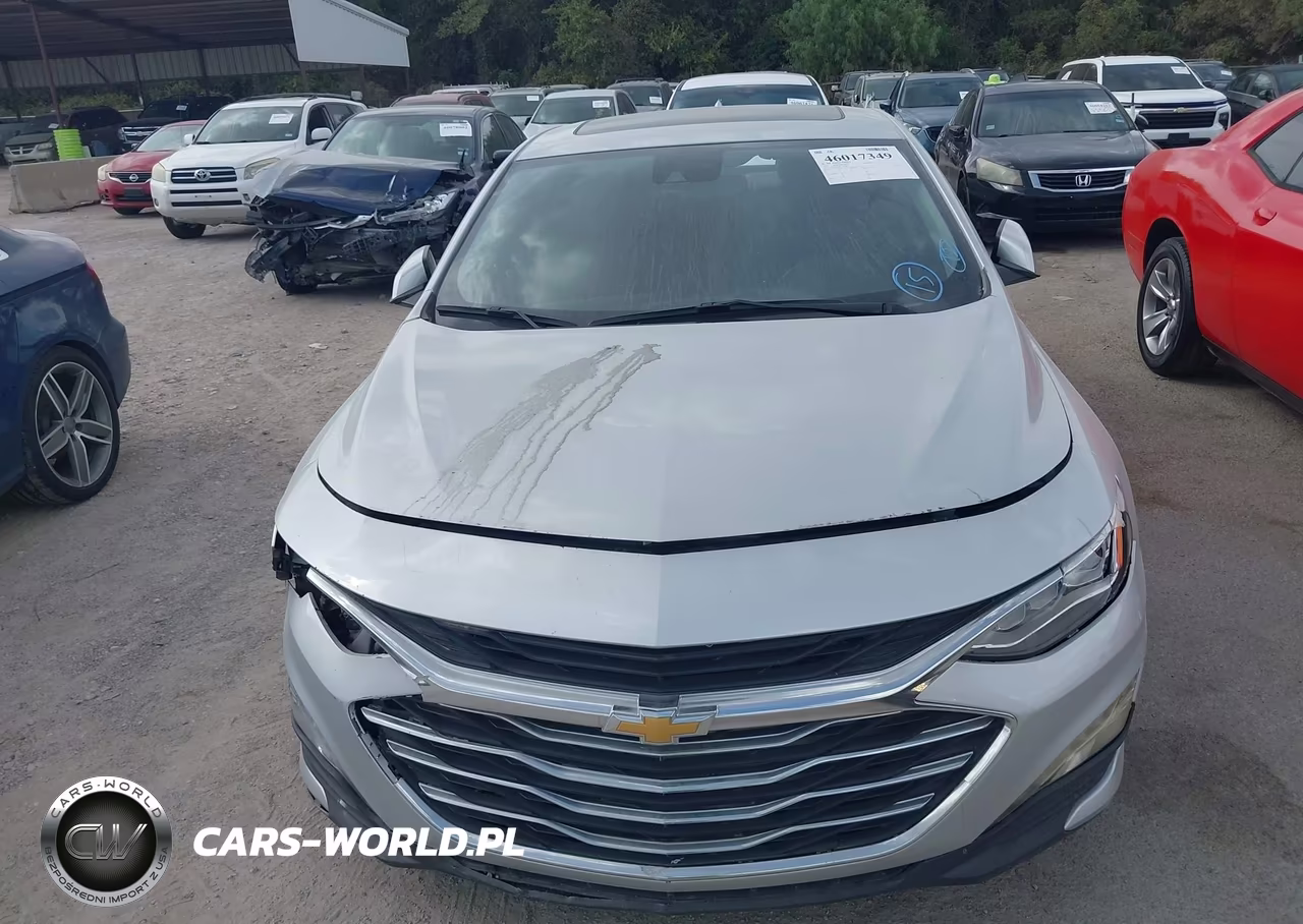 2019 Chevrolet Malibu Premier VIN:1G1ZE5SX8KF218986 - 11