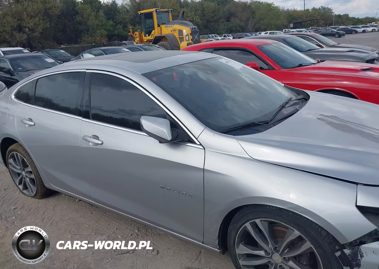 2019 Chevrolet Malibu Premier VIN:1G1ZE5SX8KF218986 - 12