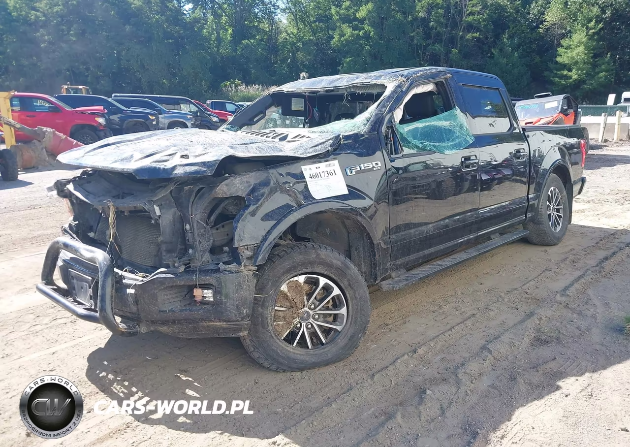2019 Ford F-150 Xlt VIN:1FTEW1E50KFC38817 - 2