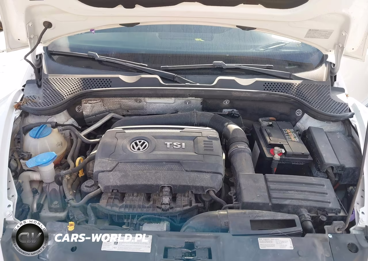 2017 Volkswagen Beetle 1.8T Se-1.8T Sel VIN:3VWJ17AT9HM626011 - 10
