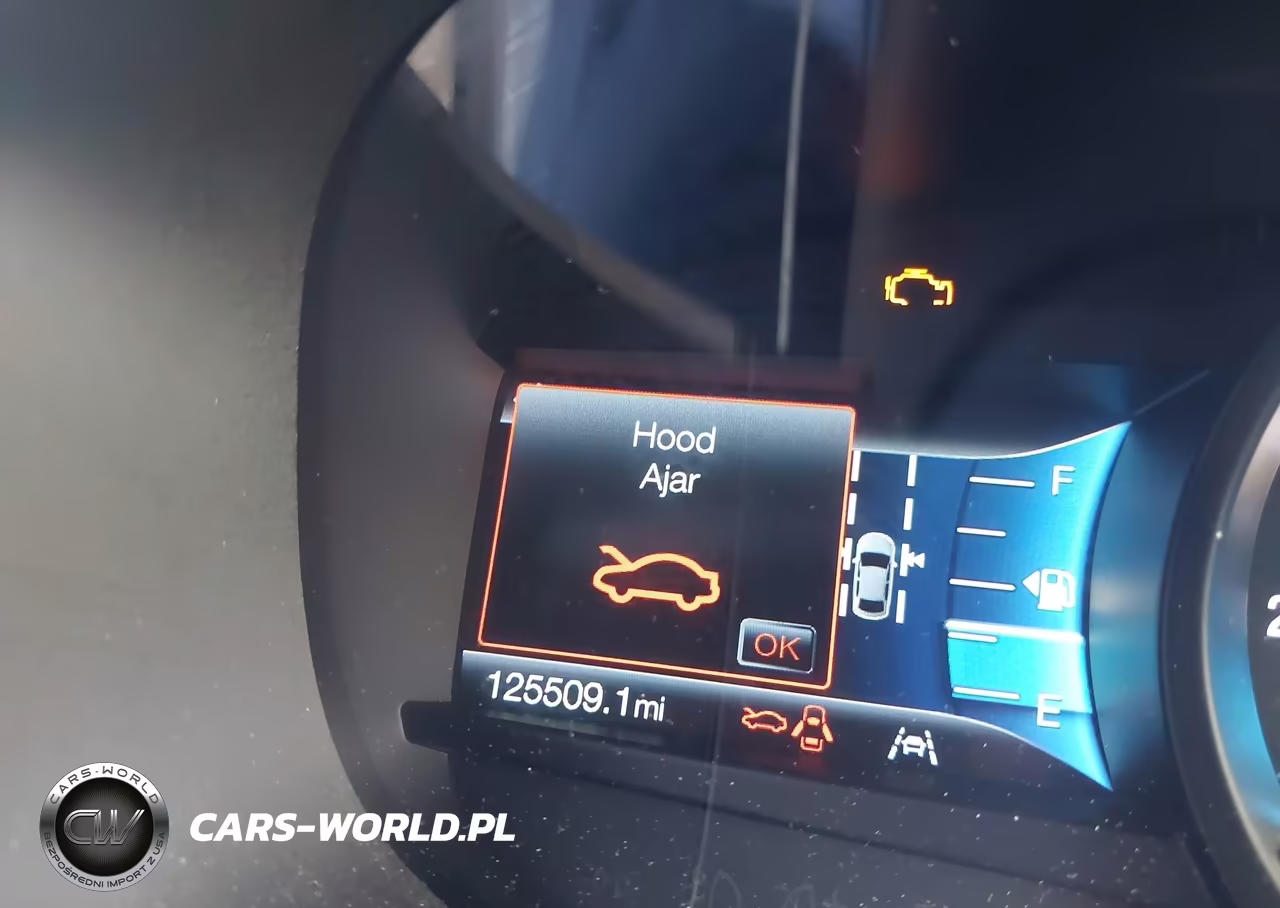 2019 Ford Edge Sel VIN:2FMPK4J9XKBB79853 - 16