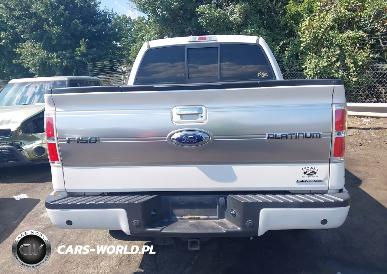 2013 Ford F-150 Platinum VIN:1FTFW1EF0DFC43595 - 16