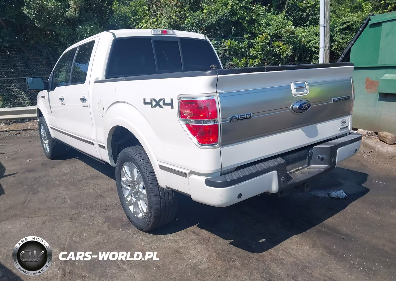 2013 Ford F-150 Platinum VIN:1FTFW1EF0DFC43595 - 3