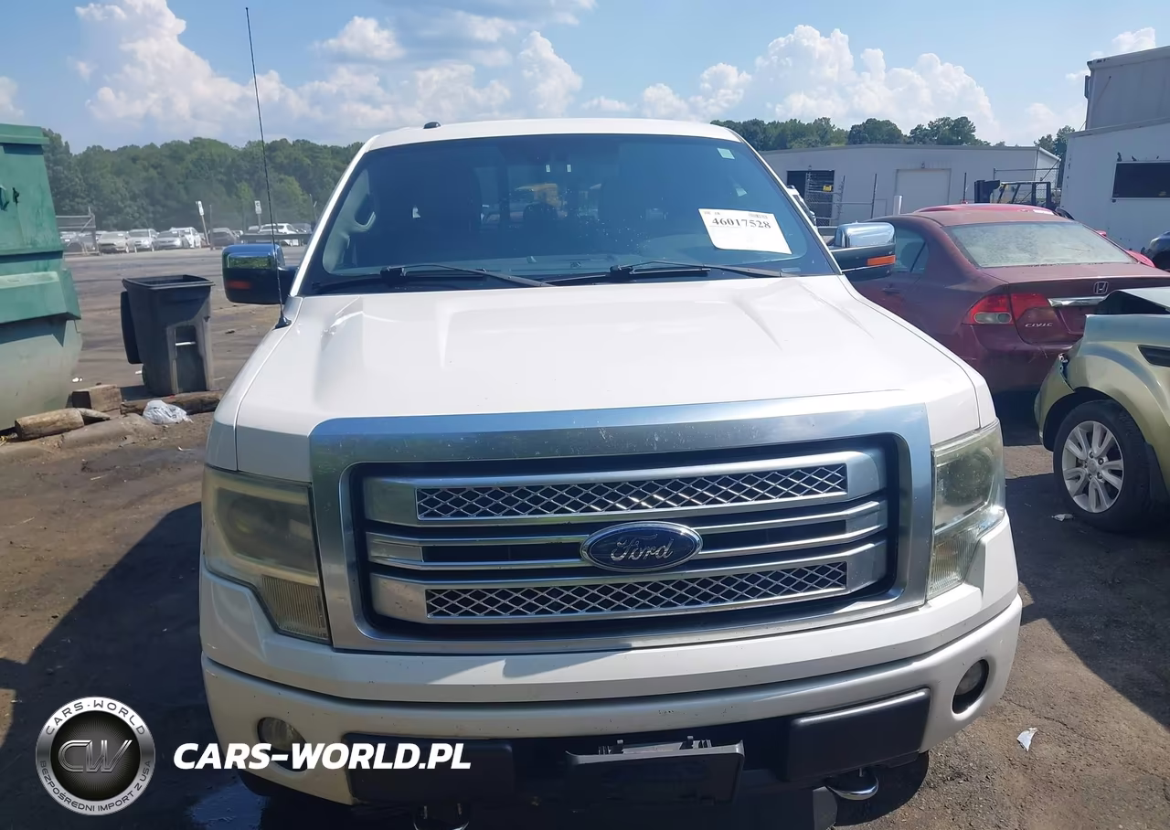 2013 Ford F-150 Platinum VIN:1FTFW1EF0DFC43595 - 6