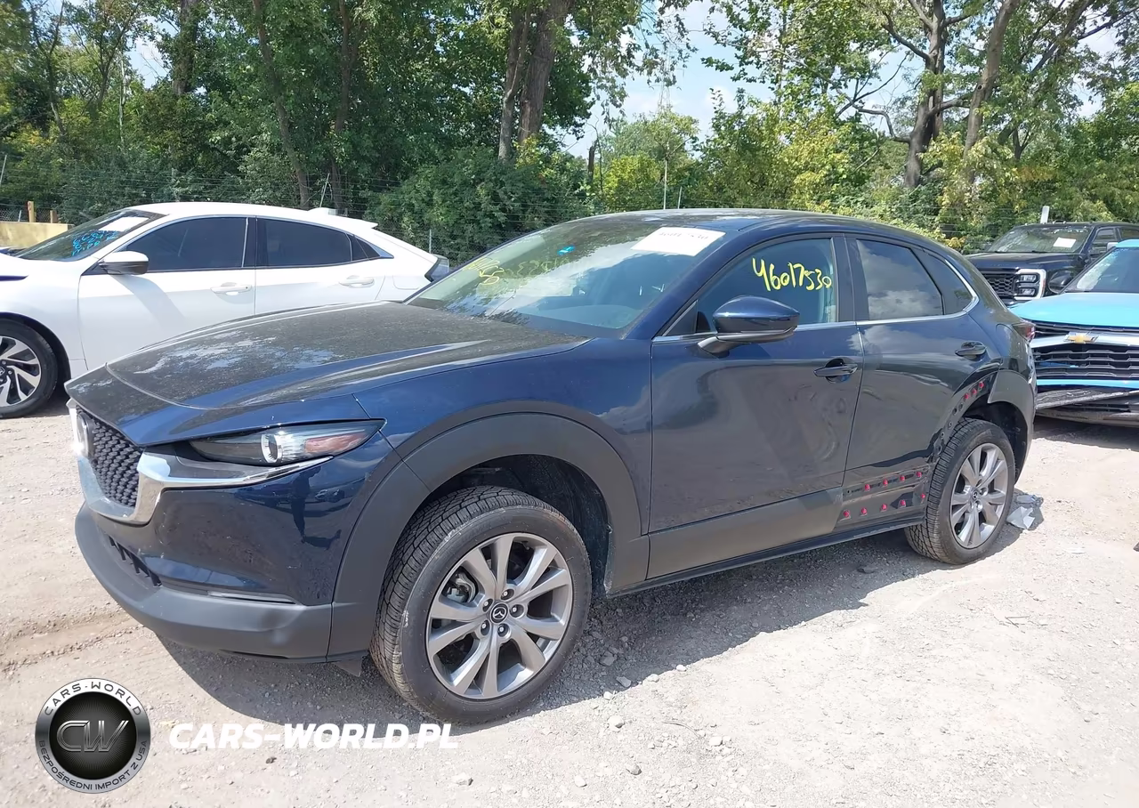 2021 Mazda Cx-30 Select VIN:3MVDMBBLXMM318265 - 2