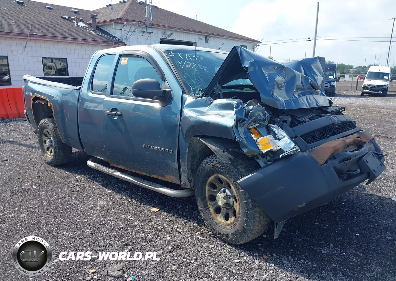 2010 Chevrolet Silverado 1500 Work Truck – zdjęcie 1 z 16