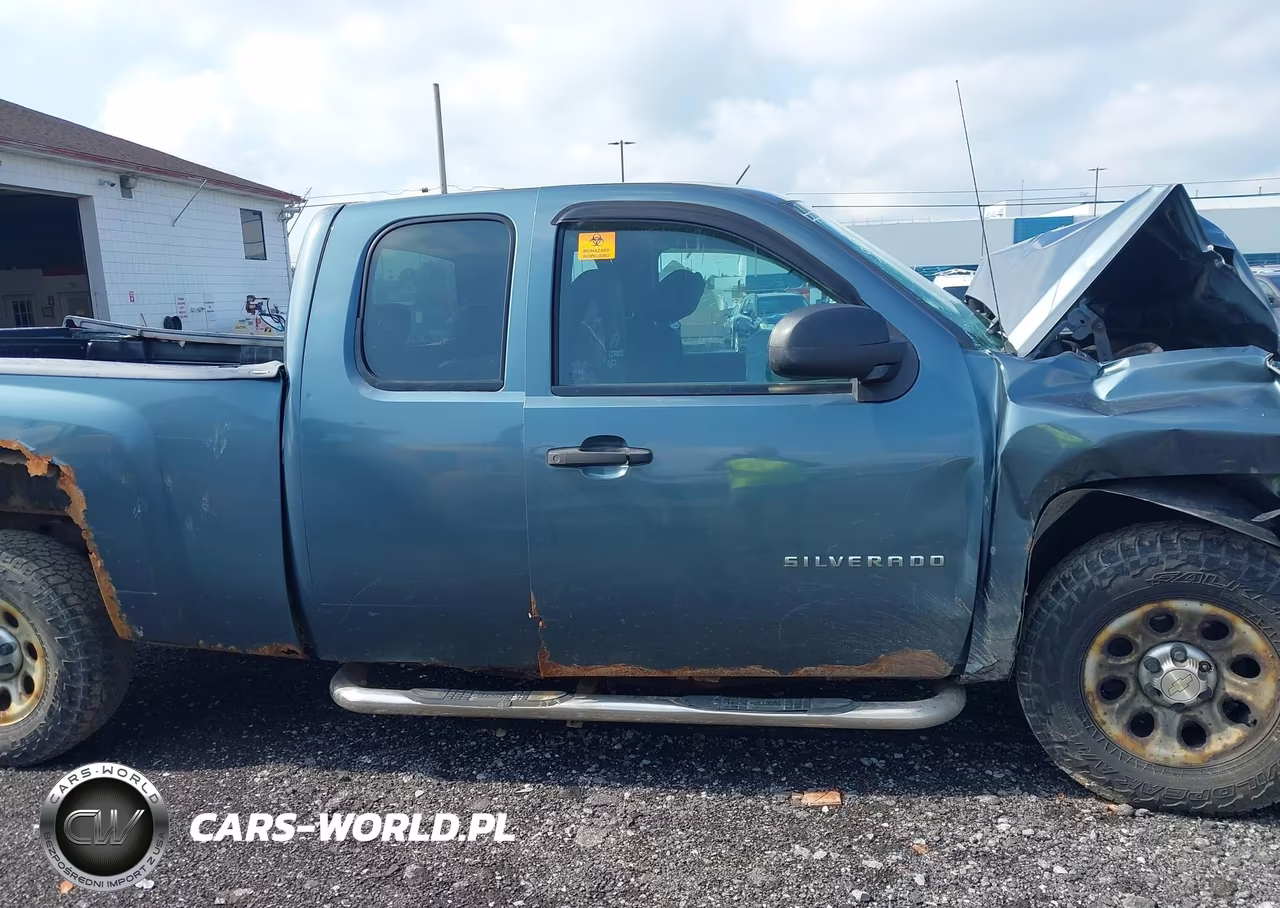 2010 Chevrolet Silverado 1500 Work Truck VIN:1GCSKPEA5AZ142970 - 13