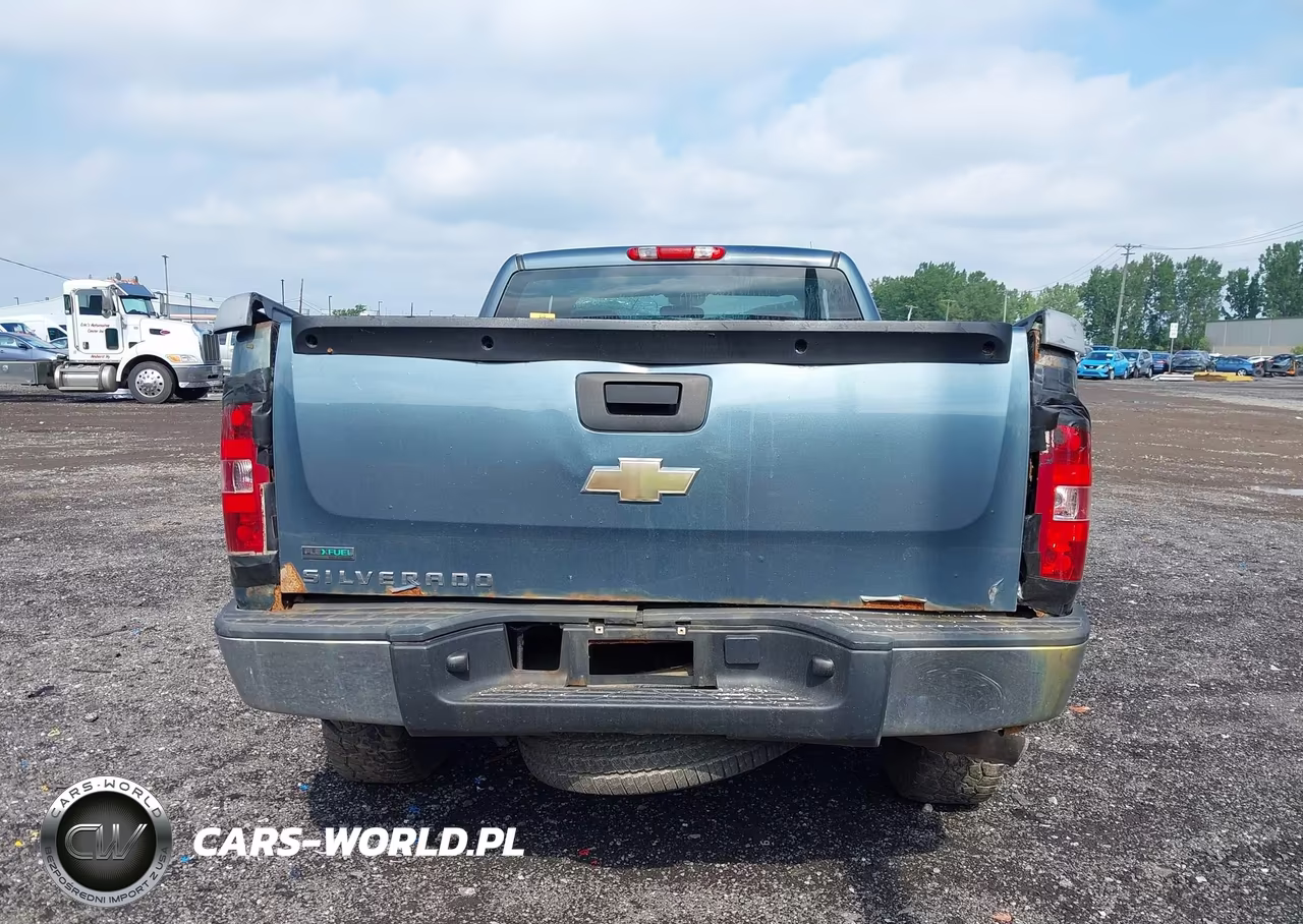 2010 Chevrolet Silverado 1500 Work Truck VIN:1GCSKPEA5AZ142970 - 16