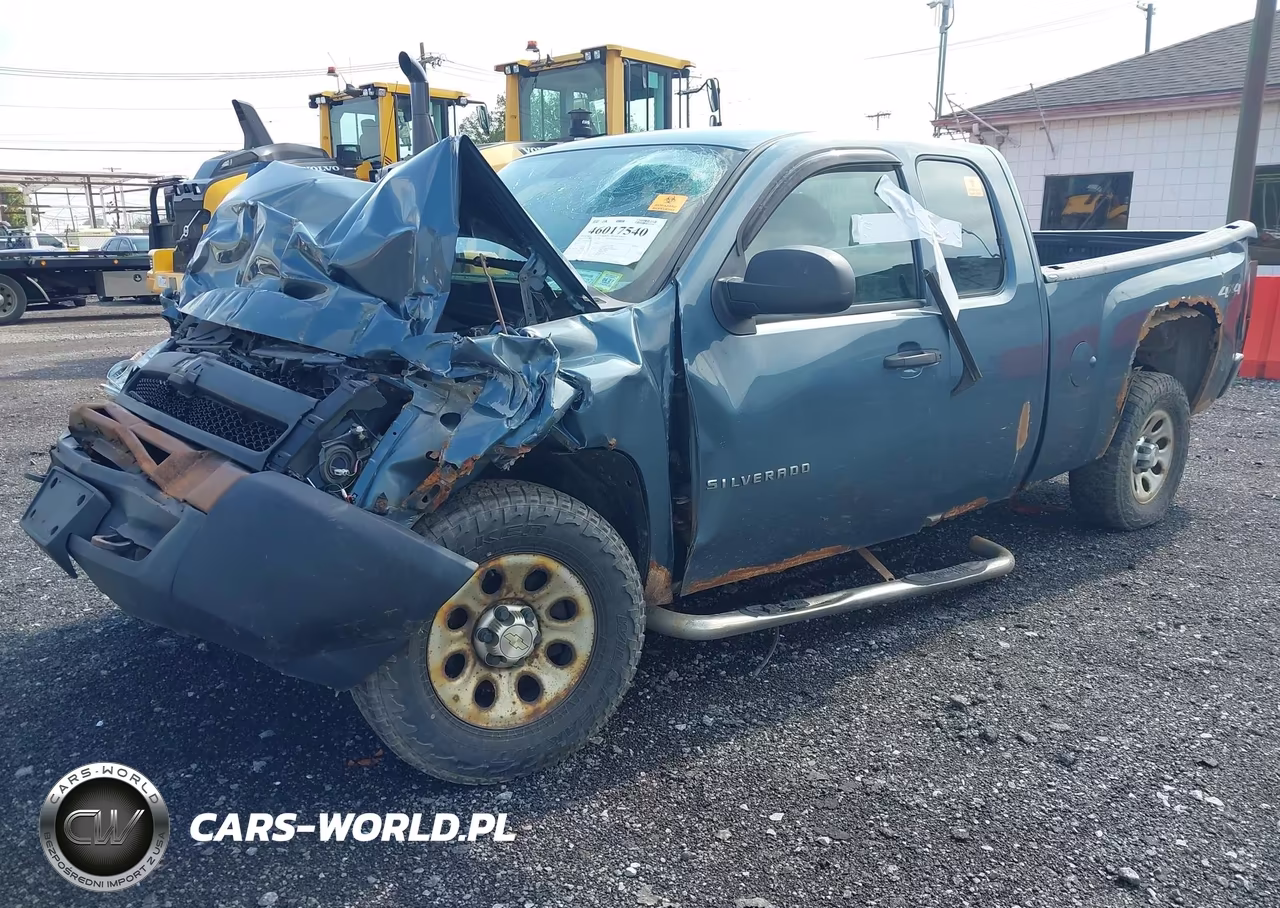 2010 Chevrolet Silverado 1500 Work Truck VIN:1GCSKPEA5AZ142970 - 2