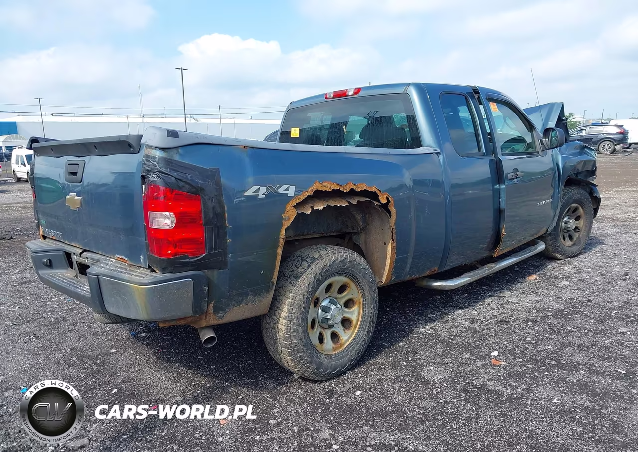 2010 Chevrolet Silverado 1500 Work Truck VIN:1GCSKPEA5AZ142970 - 4