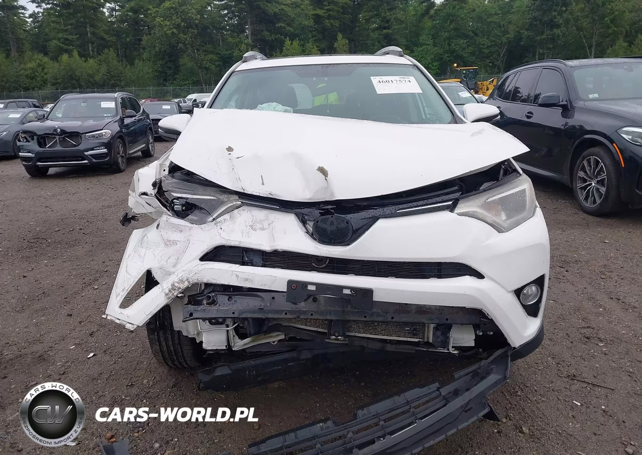 2016 Toyota Rav4 Xle VIN:2T3RFREV1GW468999 - 13