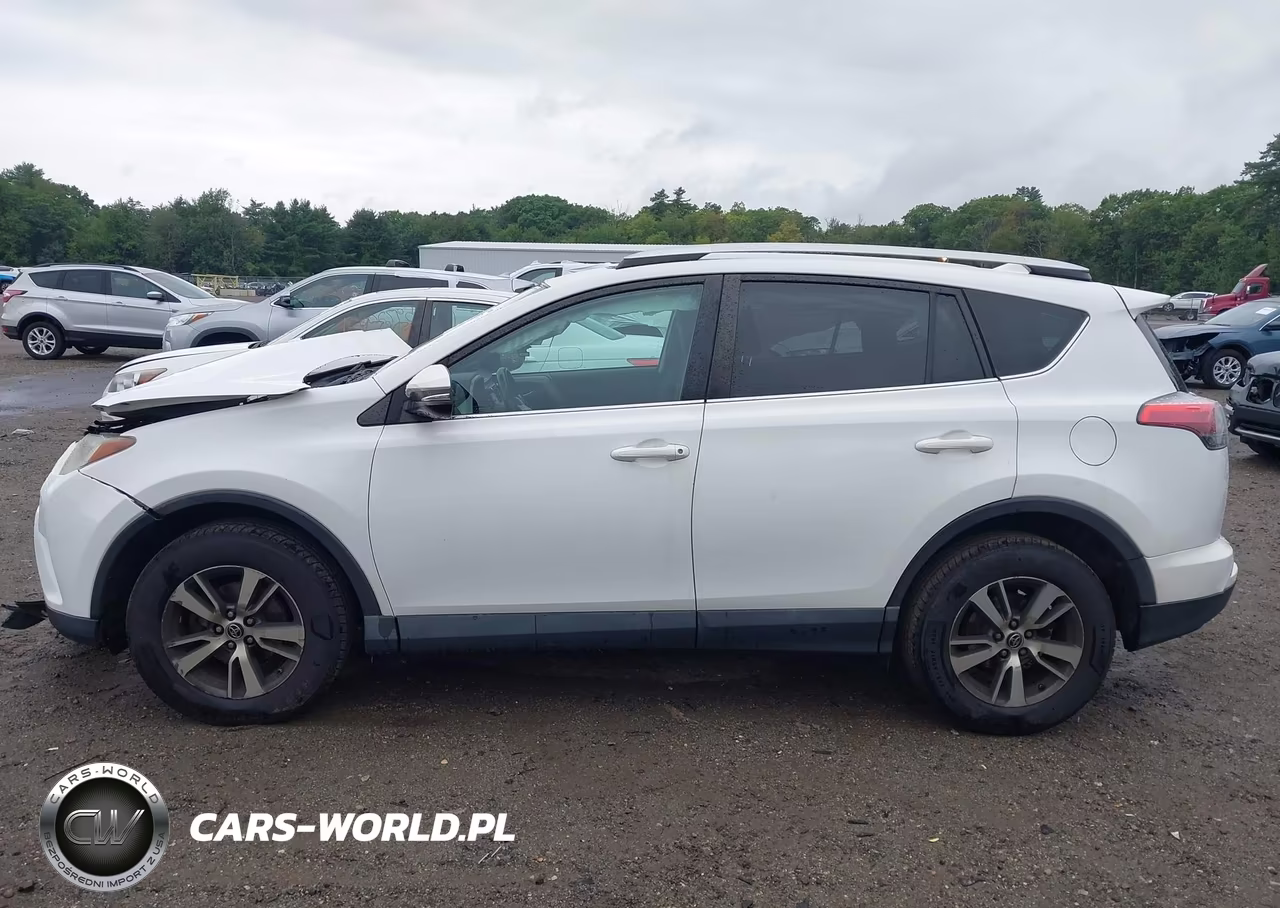 2016 Toyota Rav4 Xle VIN:2T3RFREV1GW468999 - 15