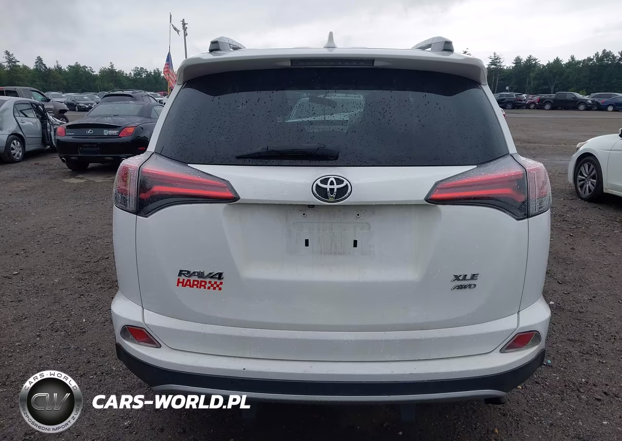 2016 Toyota Rav4 Xle VIN:2T3RFREV1GW468999 - 17
