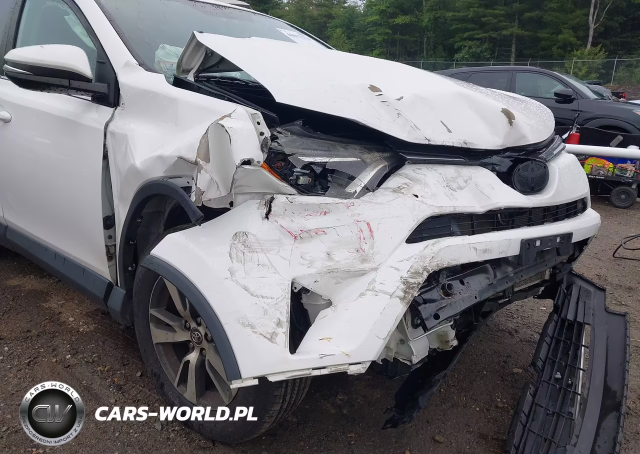 2016 Toyota Rav4 Xle VIN:2T3RFREV1GW468999 - 18