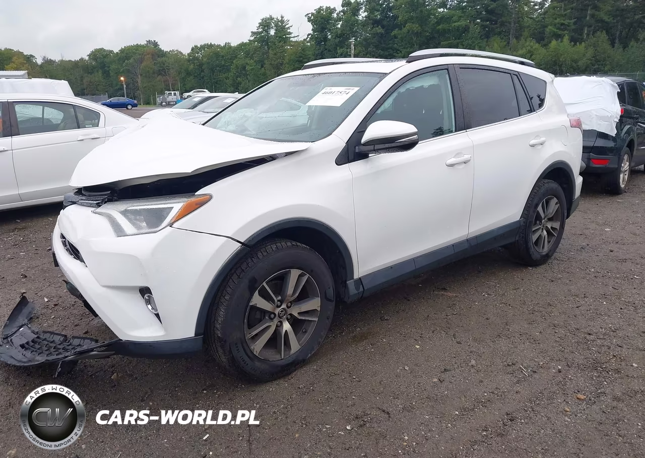 2016 Toyota Rav4 Xle VIN:2T3RFREV1GW468999 - 2