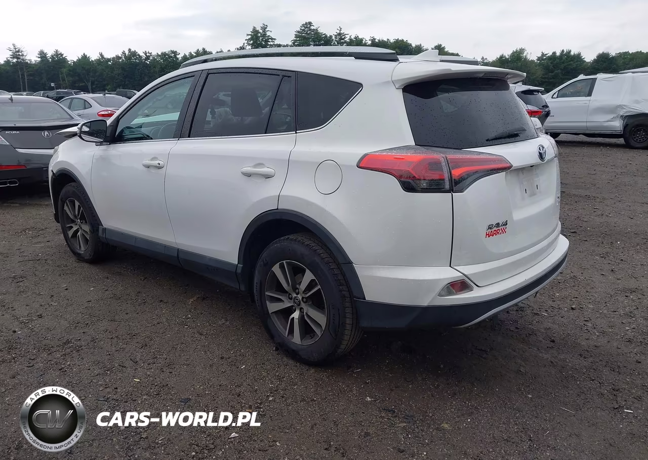 2016 Toyota Rav4 Xle VIN:2T3RFREV1GW468999 - 3