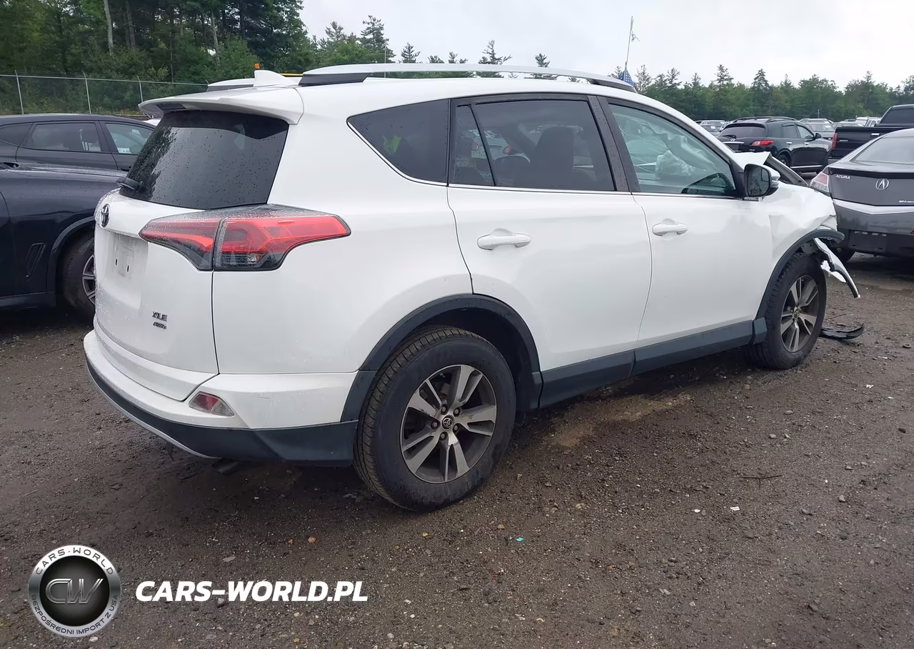 2016 Toyota Rav4 Xle VIN:2T3RFREV1GW468999 - 4