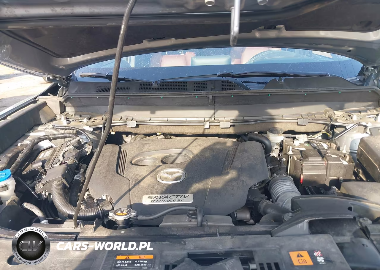 2018 Mazda Cx-9 Signature VIN:JM3TCBEY7J0214832 - 10