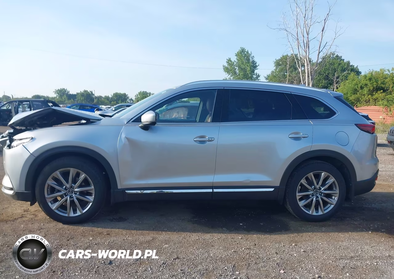 2018 Mazda Cx-9 Signature VIN:JM3TCBEY7J0214832 - 14