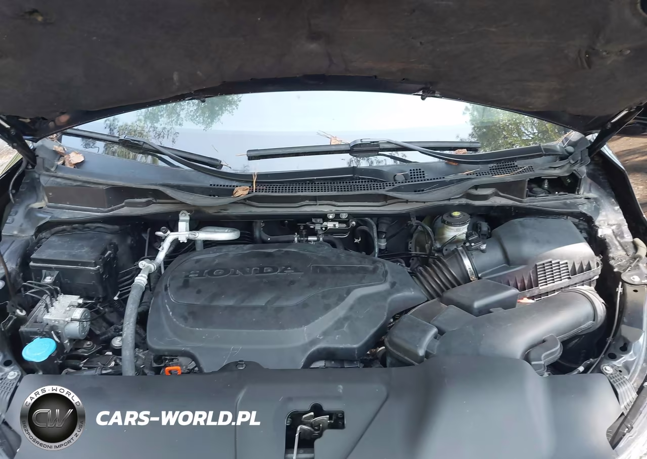 2024 Honda Odyssey Sport VIN:5FNRL6H7XRB056156 - 10