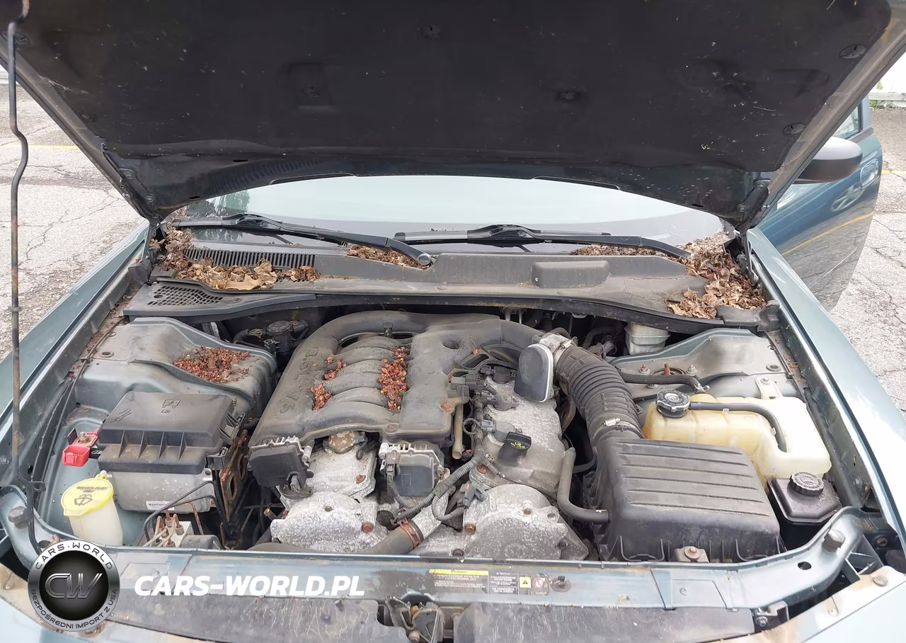 2006 Dodge Charger VIN:2B3KA43G36H141544 - 10