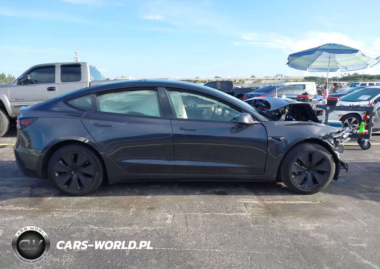 2025 Tesla Model 3 Long Range Rear-Wheel Drive-Standard Rear-Wheel Drive VIN:5YJ3E1EA9SF971105 - 11