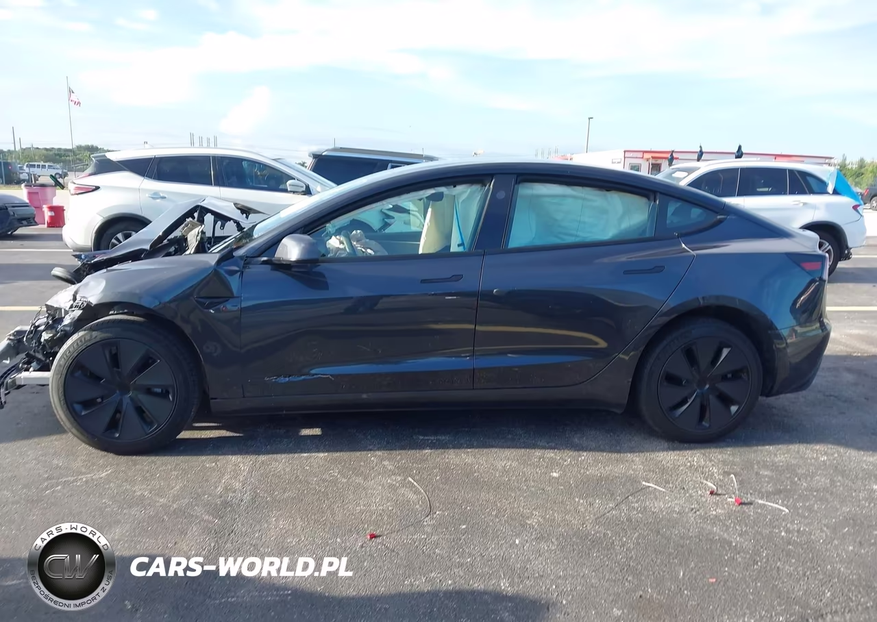 2025 Tesla Model 3 Long Range Rear-Wheel Drive-Standard Rear-Wheel Drive VIN:5YJ3E1EA9SF971105 - 12