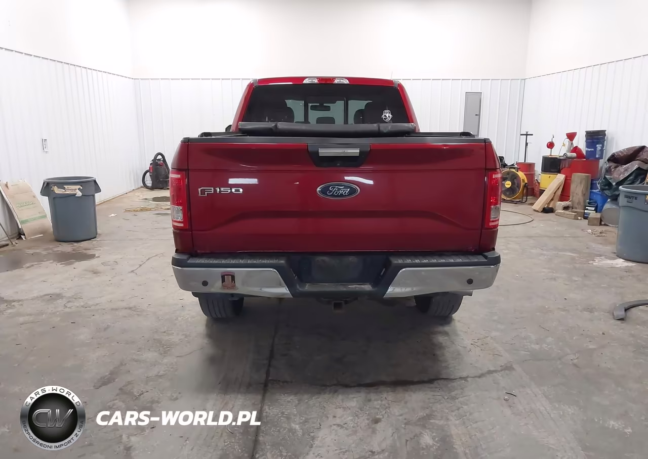 2017 Ford F-150 Xlt VIN:1FTFX1EF2HFA98465 - 16