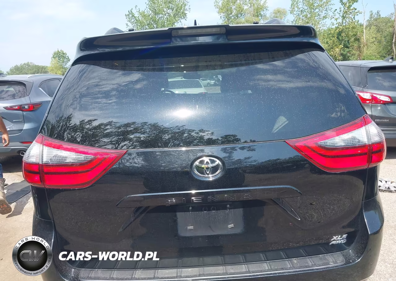 2020 Toyota Sienna Xle VIN:5TDDZ3DC3LS240481 - 16