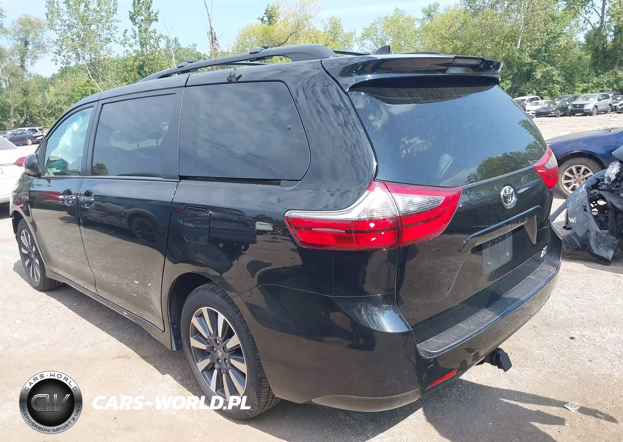 2020 Toyota Sienna Xle VIN:5TDDZ3DC3LS240481 - 3