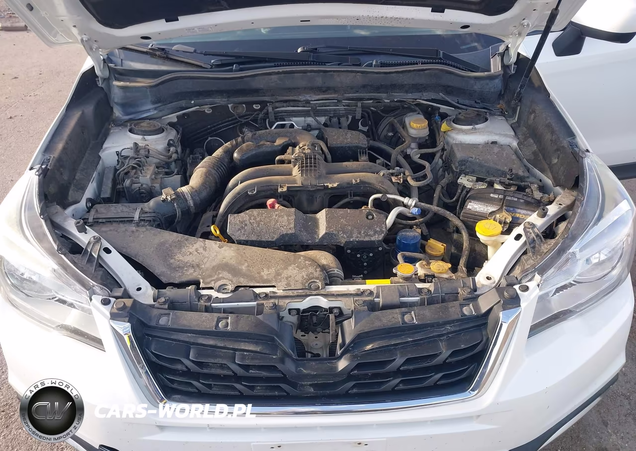 2017 Subaru Forester 2.5I Premium VIN:JF2SJAGCXHH510401 - 10