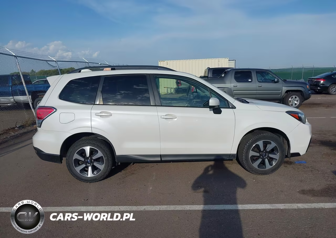 2017 Subaru Forester 2.5I Premium VIN:JF2SJAGCXHH510401 - 13