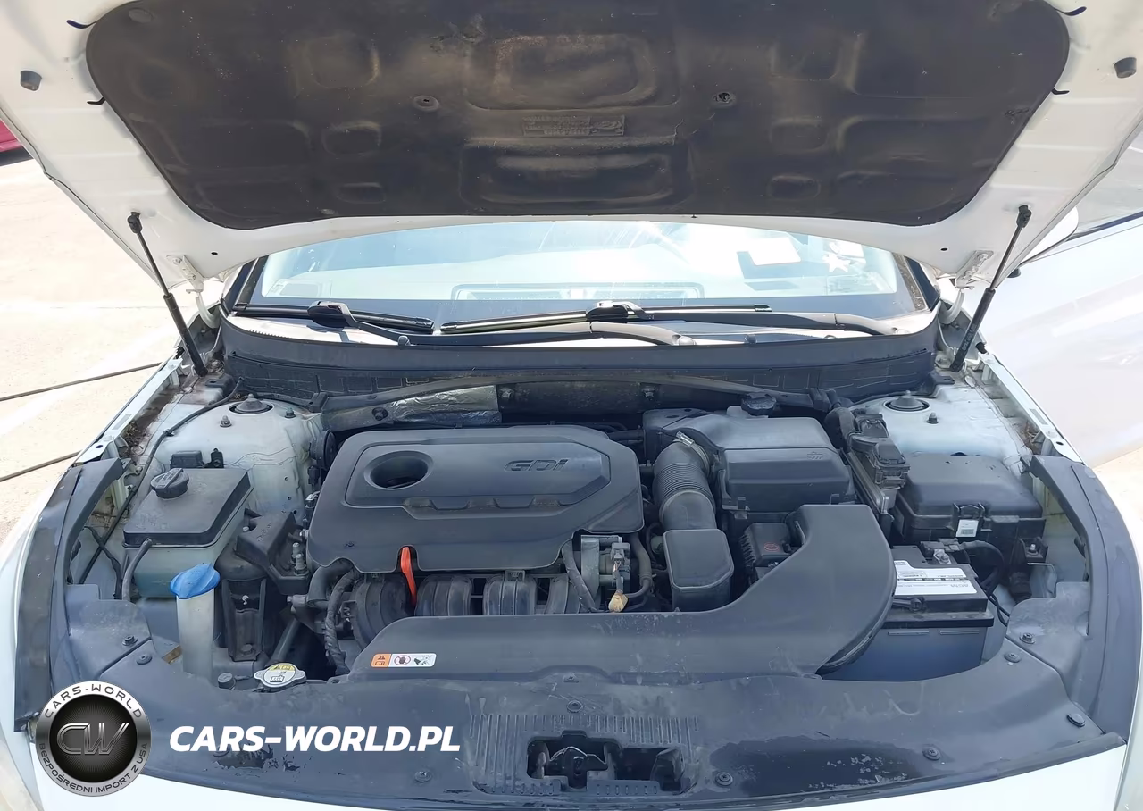 2015 Hyundai Sonata Se VIN:5NPE24AF9FH021306 - 10
