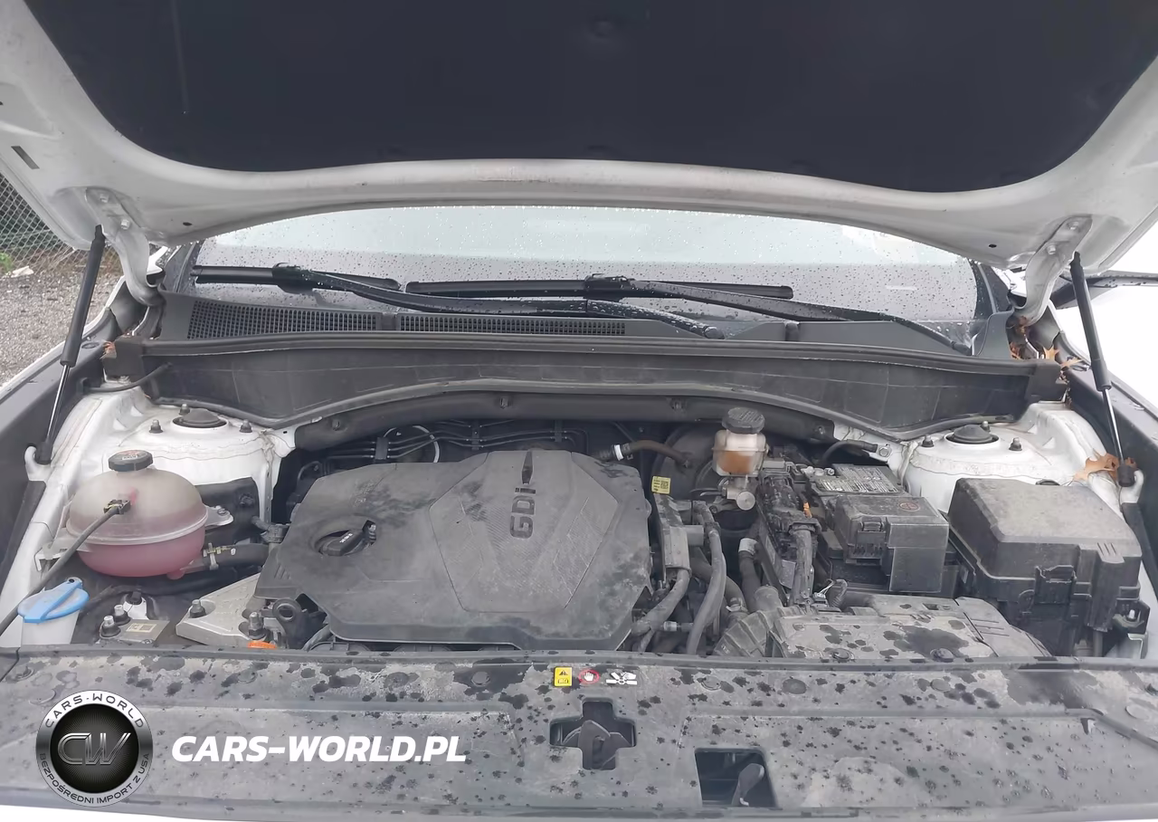 2022 Hyundai Santa Fe Sel VIN:5NMS2DAJ1NH396979 - 10